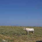 PICT1376.JPG