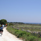 PICT1378.JPG