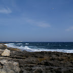 PICT1397.JPG