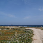 PICT1411.JPG