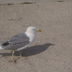 PICT1417.JPG