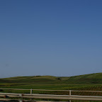 PICT1468.JPG
