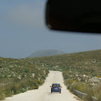 PICT0826.JPG