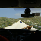 PICT0827.JPG