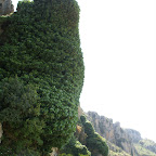 PICT0819.JPG