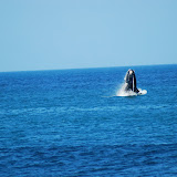  &ndash; Picture taken from the shore in Kalk Bay &ndash; 04-Oct-2009