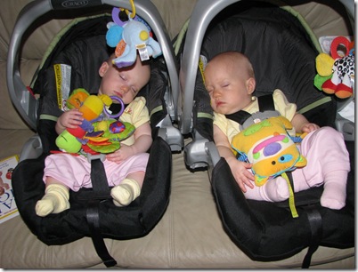 IMG_5012 IMG_5012