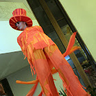 2007-12-19-59.jpg