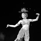 IMG_5881_.jpg
