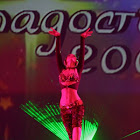 IMG_5920.JPG