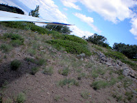 DSCN0005.JPG Photo