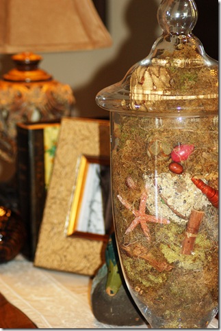 apothecary jar filled with moss and stuff