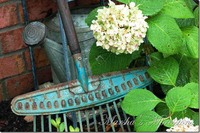 hoe hydrangea and watering can