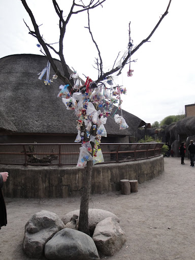 El árbol de los chupetes