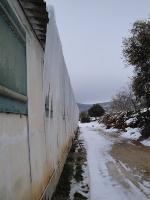 Cortina de hielo