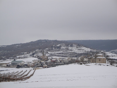 Arellano nevado