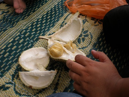 [Simpang Pelangai makan durian4[7].jpg]