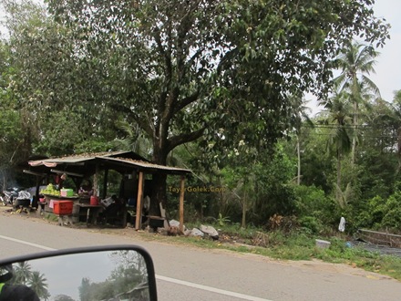 [IMG_95533.jpg]