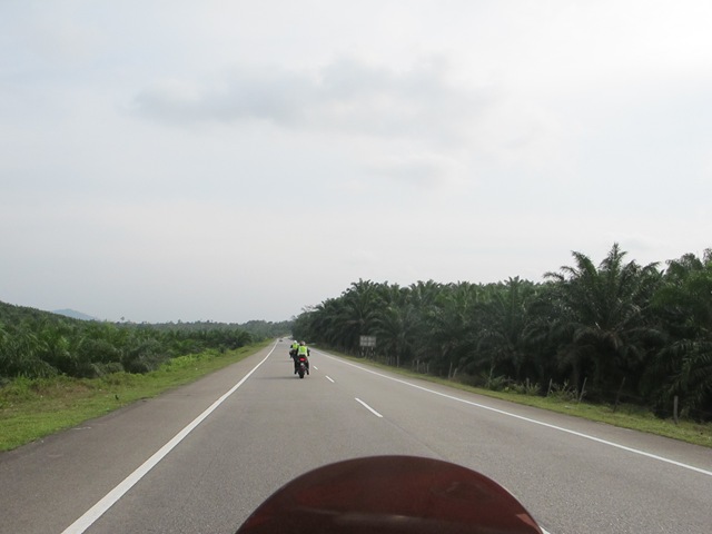 [IMG_98712.jpg]