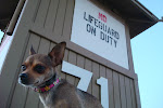 No Lifeguard on duty?  Olivia is on duty and ready to roll.