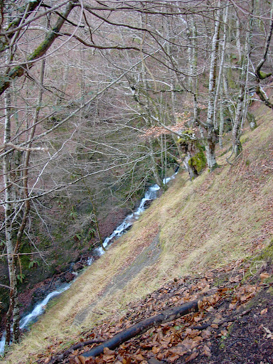 KIF_4517.JPG