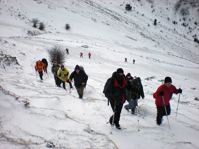 DSCN1708.JPG