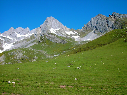 KIF_0179.JPG