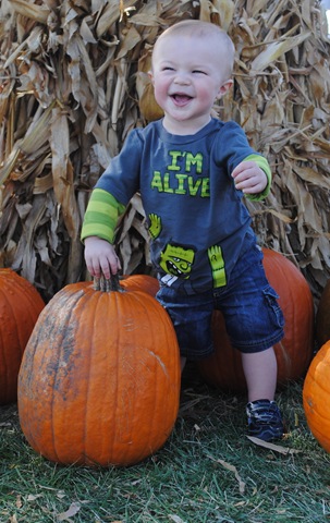 [DSC_0316[4].jpg]