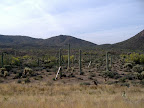 Desert