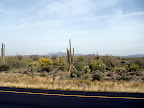 Desert