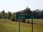 Selma 84