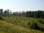 Scenery