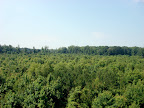 Scenery