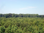 Scenery