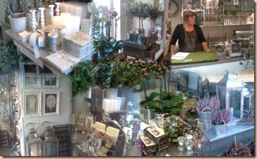 Blomsterdamene_AutoCollage_7