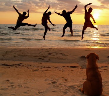[PlayiStock_000004085832XSmall5.jpg]