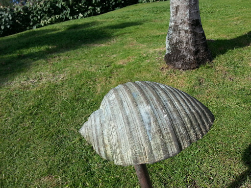 Ancient Iron Shell