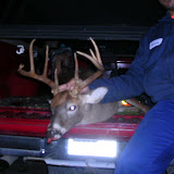 DSCN6462.JPG