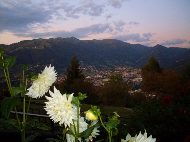 [SDC122383.jpg]