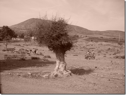 lungo la strada per Ouzoud