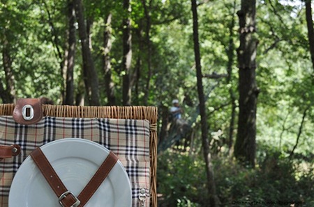 PicnicDSC_0792 PicnicDSC_0792