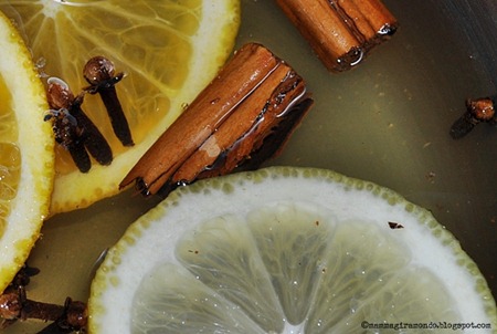 Mulled CiderDSC_0560 Mulled CiderDSC_0560