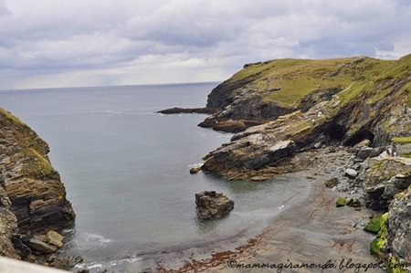 TintagelDSC_0448 TintagelDSC_0448