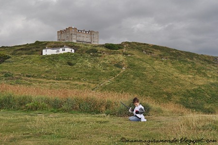 tintagelDSC_0341 tintagelDSC_0341
