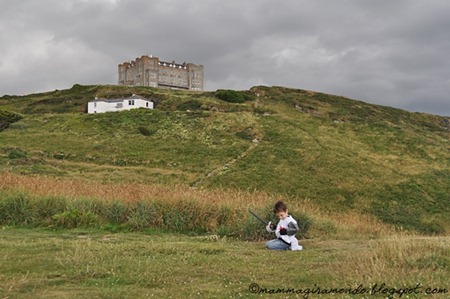 tintagelDSC_0341