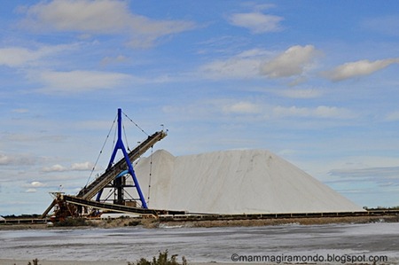 camargueDSC_0146