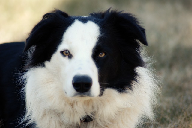 [DSC_0181 copy 2[1].jpg]