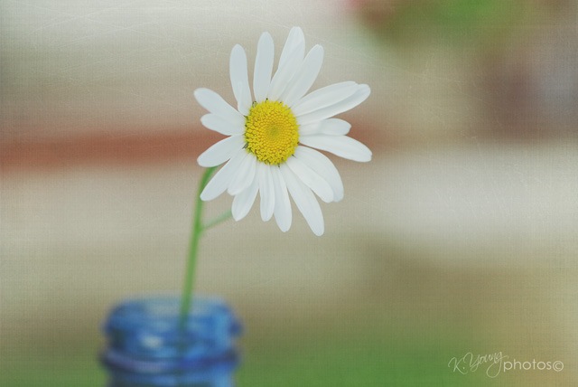 [DSC_0134 copy 2]