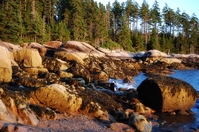 [DSC_0051copy24.jpg]