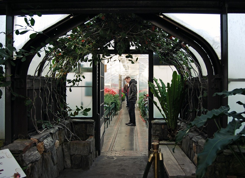 [DSC_0115 copy 2[6].jpg]